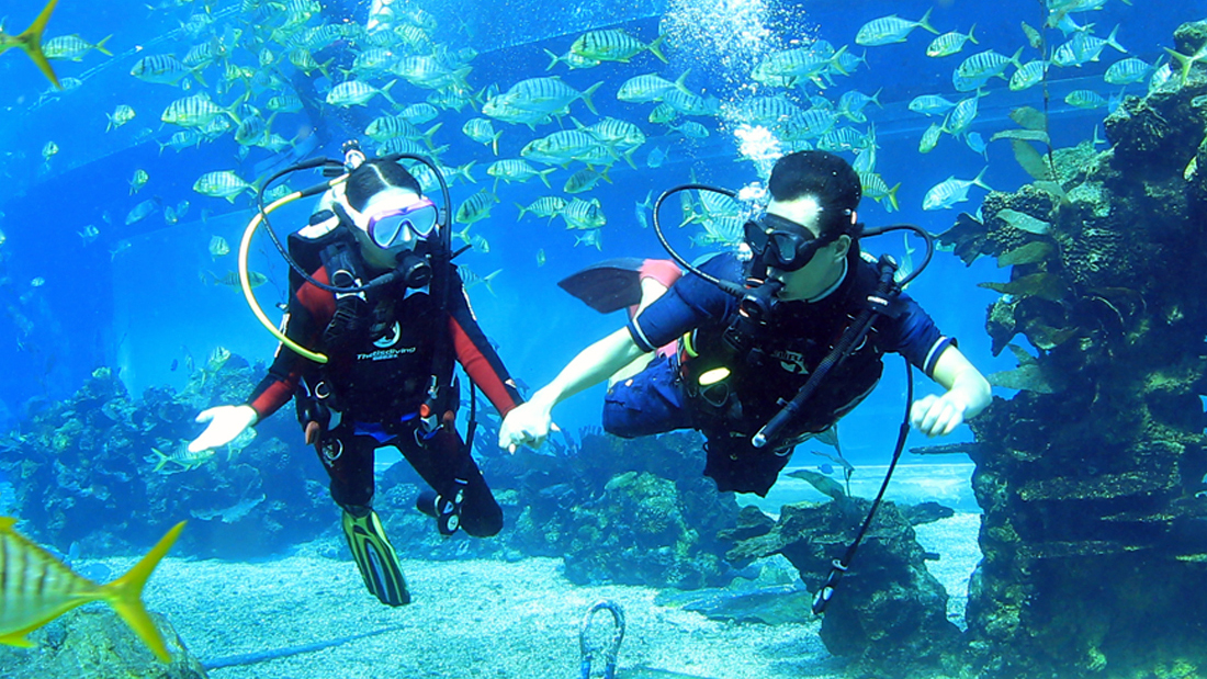 潛水運(yùn)動(dòng)的由來(lái)