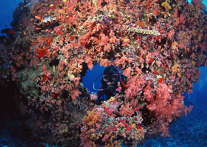 取得潛水證后做什么