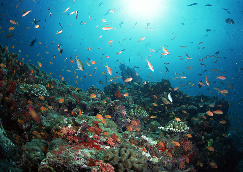 水下會遇到的問題解決方法