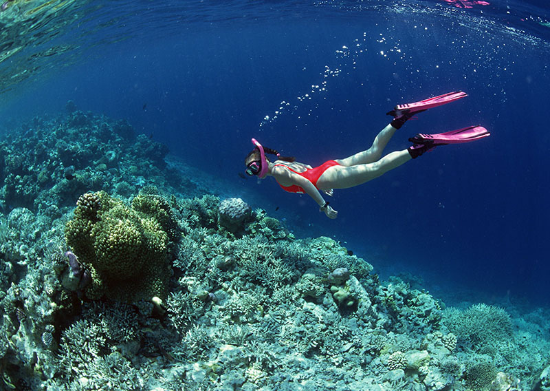 如何正確的選擇面鏡