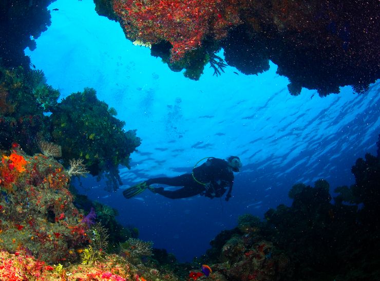 與潛水相關的英文