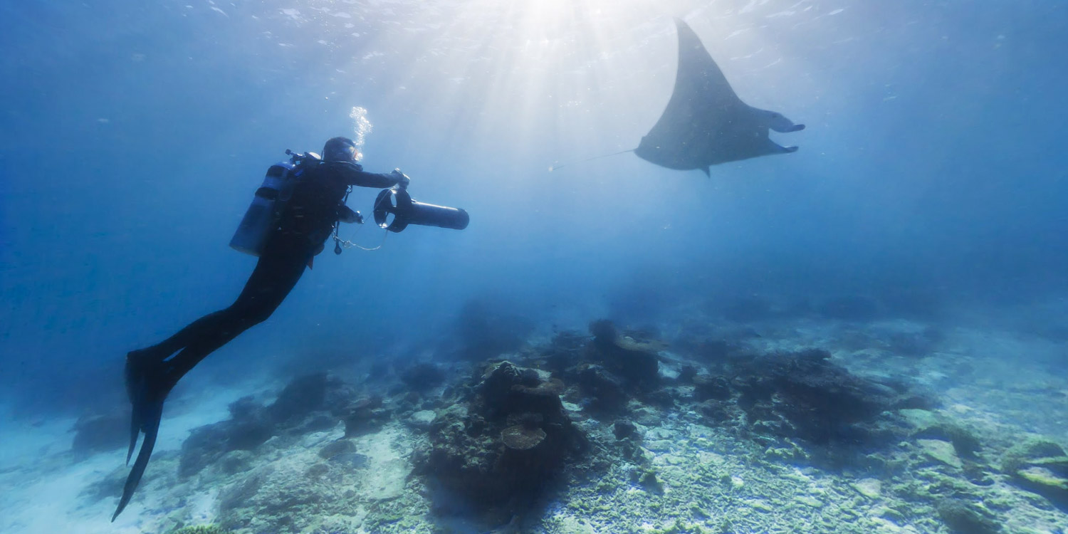 注意，這幾種情況下不能潛水