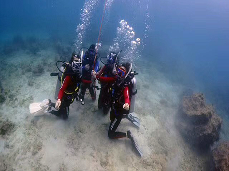 你的百潛是不是白潛了？