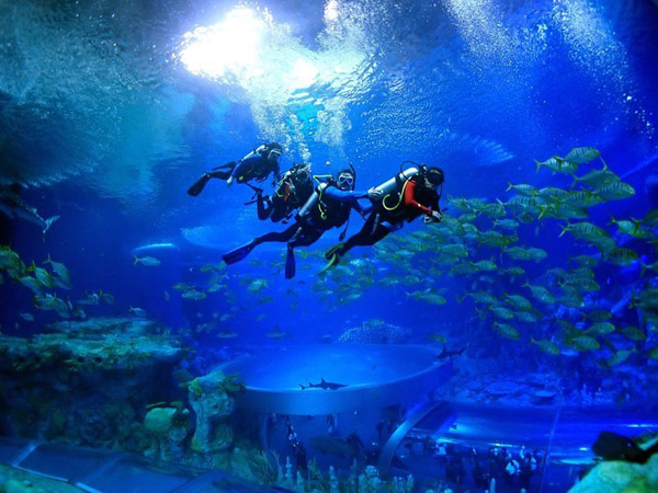 潛在水里，學(xué)做一條靜靜的魚