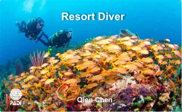 12/12正式上線！PADI 最新課程【休閑潛水員Resort Diver】 丨 一天拿證，潛遍全球