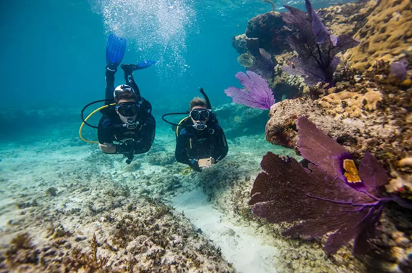 【水肺潛水安全嗎？】轉(zhuǎn)自PADI