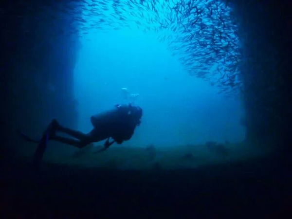 潛水拍照新姿勢，放下你的剪刀手，我們來這樣拍