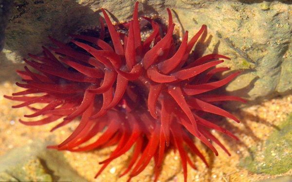 等指?？? title=