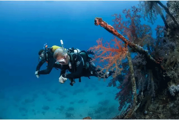 成為潛水員之前的你，是不是也問過這些問題？