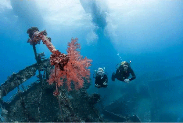 成為潛水員之前的你，是不是也問過這些問題？