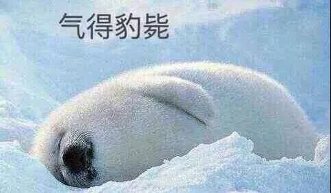 原來你是這樣的潛水員妹子！