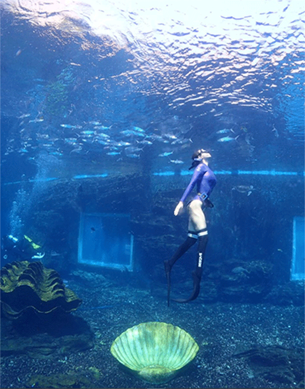 潛水常見問題，原來潛水沒你想的那么難