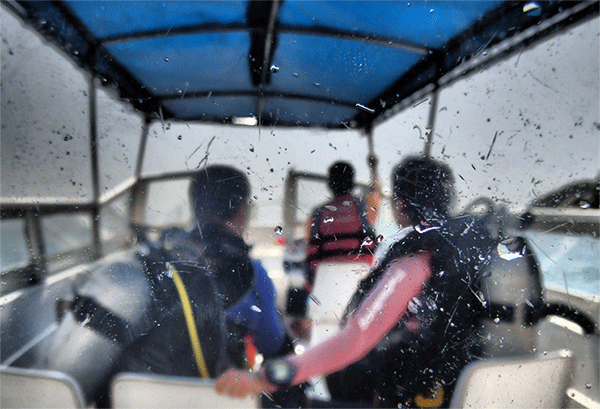 潛水常見問題，原來潛水沒你想的那么難