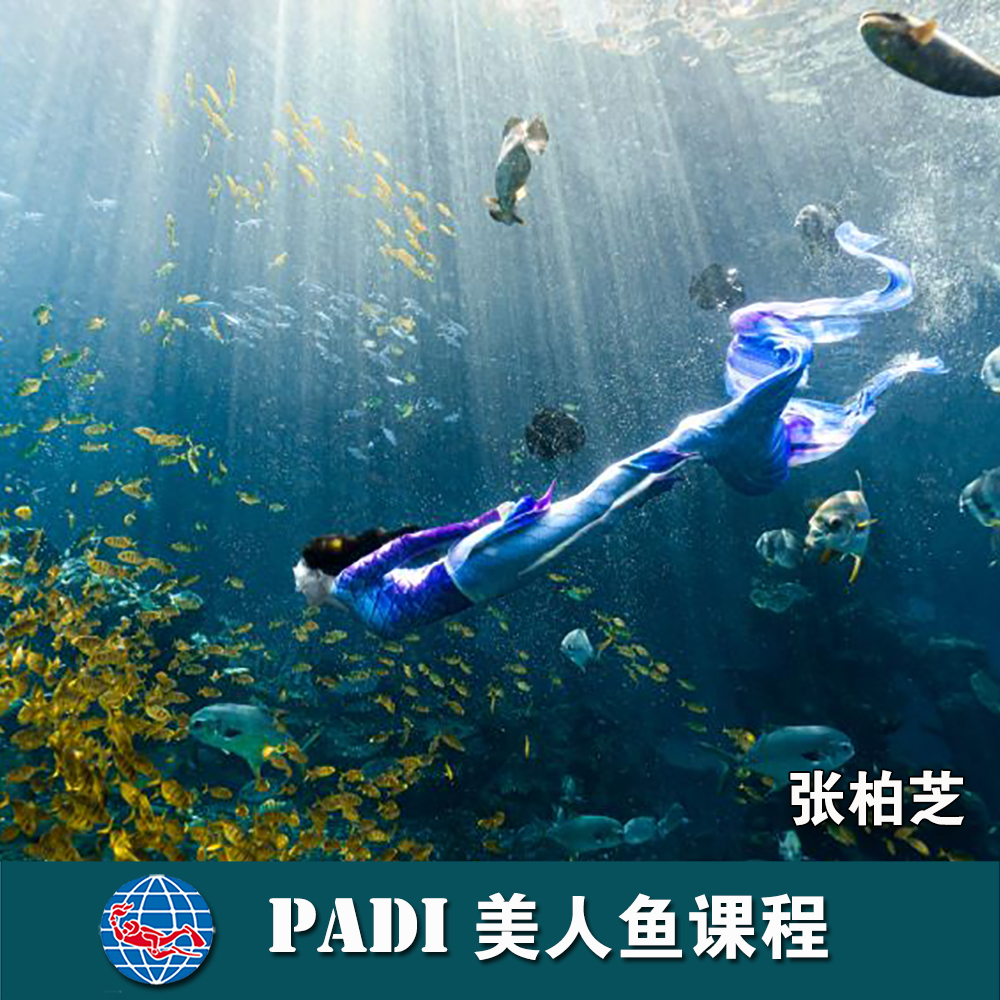 三亞洲際酒店PADI 美人魚課程