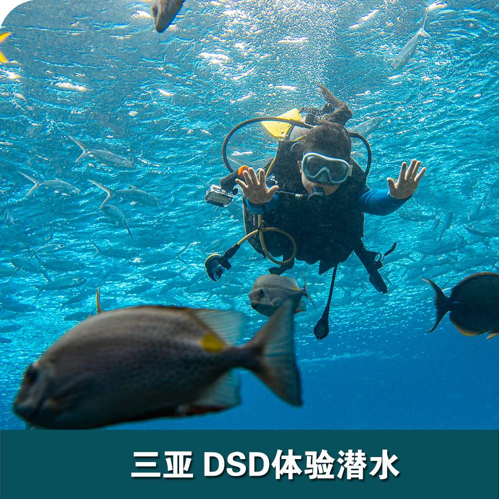 三亞洲際酒店DSD體驗(yàn)潛水