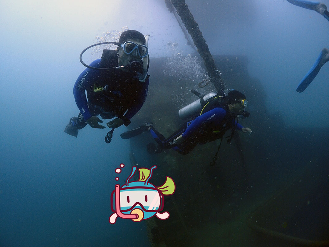 除了俯瞰大地的飛翔，還有潛入海底的翱翔。