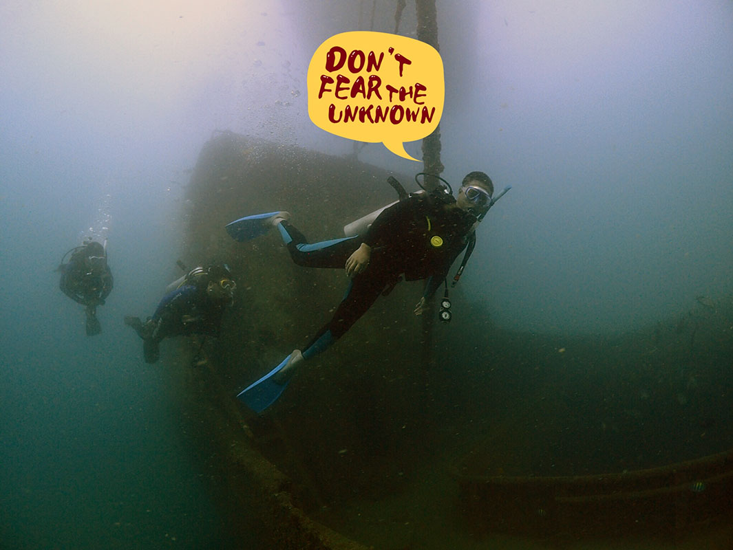 除了俯瞰大地的飛翔，還有潛入海底的翱翔。