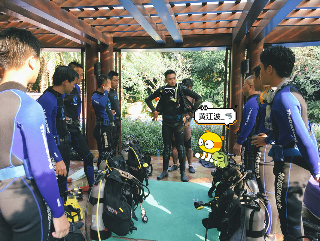 除了俯瞰大地的飛翔，還有潛入海底的翱翔。