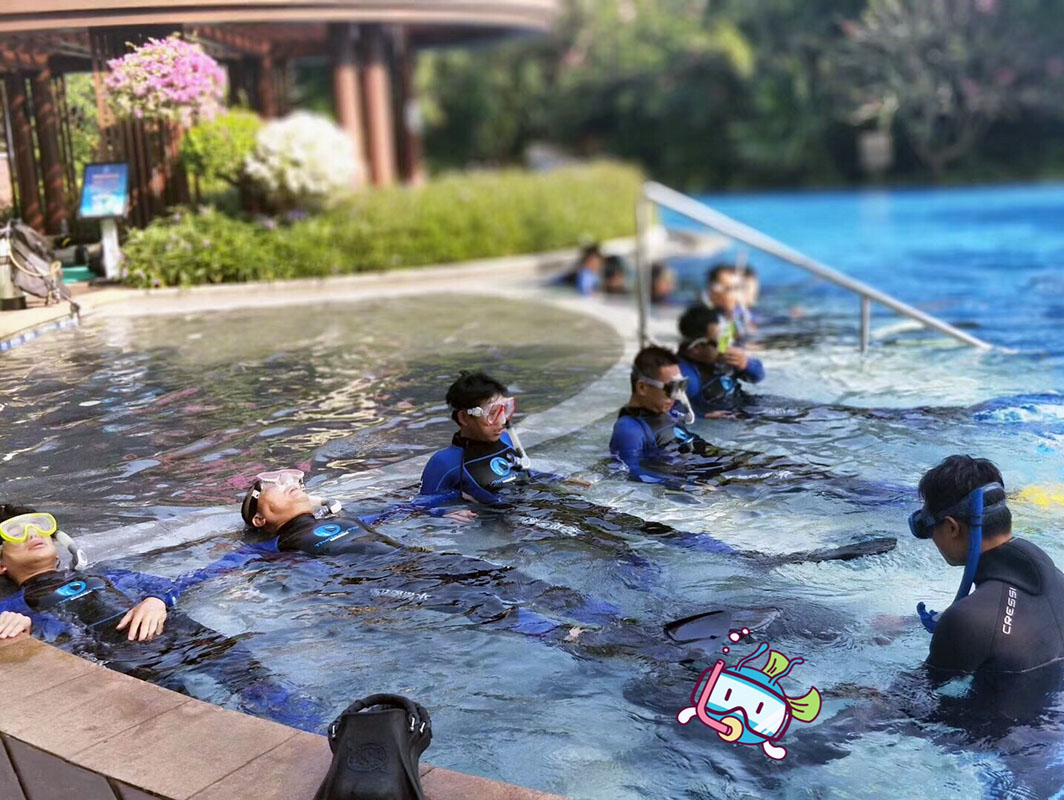 除了俯瞰大地的飛翔，還有潛入海底的翱翔。