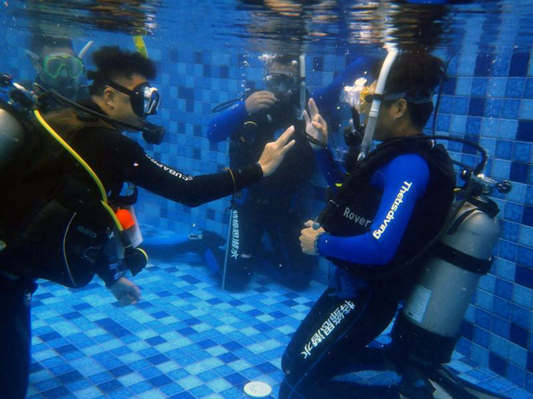 除了俯瞰大地的飛翔，還有潛入海底的翱翔。