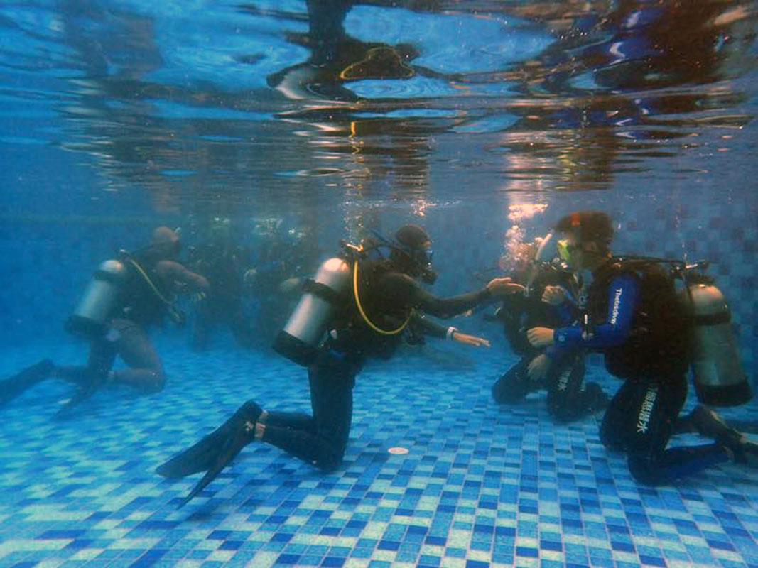 除了俯瞰大地的飛翔，還有潛入海底的翱翔。
