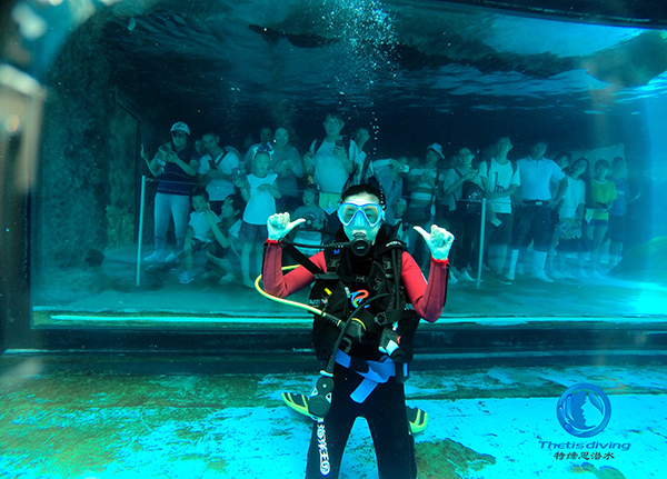珠海長隆海洋王國啟動(dòng)海豚島潛水